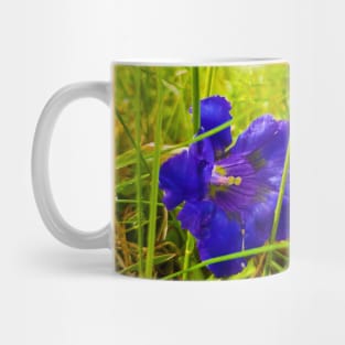 Gentiana acaulis Mug